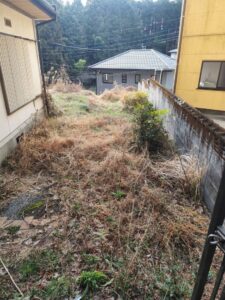 地面が見えないほど雑草が伸びた庭の写真