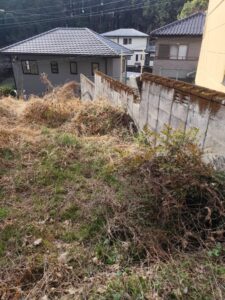 地面が見えないほど雑草が伸びた庭の写真