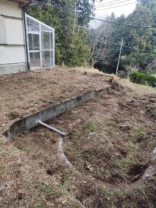 草刈り後、地面が見える庭の写真