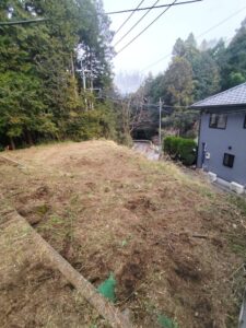 草刈り後、地面が見える庭の写真