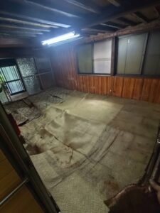 片付け後の室内。大量のゴミや不用品がすべて撤去され床が見える。