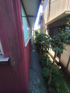 草刈り後の通路