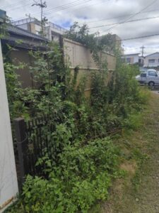 草刈り前の庭。