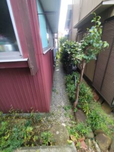 草刈り前の通路
