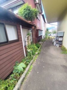 草刈り前の通路